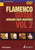 Flamenco Guitar Method Vol 2