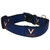 NCAA Virginia Cavaliers Dog Collar (Team Color, Medium)