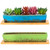 Succulent Pots - 2 Pack Large Succulent Planters with Drainage Tray, 9.8 Inch Long Rectangular Planters for Indoor Plants Shallow Window Planters Ceramic Cactus Flower Plant Container for Garden