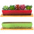 Succulent Pots - 2 Pack Large Succulent Planters with Drainage Tray, 9.8 Inch Long Rectangular Planters for Indoor Plants Shallow Window Planters Ceramic Cactus Flower Plant Container for Garden