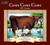 The LANG Companies Cows Cows Cows 2019 Wall Calendar (19991001909)