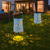 Outdoor Solar Lanterns, 2 Pack Solar Hanging Lanterns Outdoor Waterproof Hanging Solar Lantern Solar Powered Outdoor Lanterns Lights Decorative for Patio Garden Lawn (Dandelion - Blue)