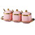 Fvstar 3pcs Ceramic Condiment Pots Porcelain Sugar Bowls Decorative Gold Salt Containers Set Seasoning Pepper Boxes Kitchen Spice Jars with Lids,Spoon and Serving Tray,Pink