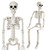 2 Pack Halloween Hanging Decorations, 26" Size Skeleton with Movable Joints, Indoor and Outdoor Party Decor for Haunted House Yard Patio Lawn Garden