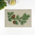 rouihot Set of 8 Placemats Evergreen Branch of Christmas Tree Pine Cones Fir Winter Non-Slip Doily Place Mat for Dining Kitchen Table