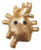 GIANTmicrobes Heart of Gold Plush