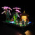 LIGHTAILING Light for Lego- 10315 Tranquil-Garden - Led Lighting Kit Compatible with Lego Building Blocks Model - NOT Included The Model Set