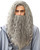 Borbilyn Long Grey Curly Wig with Beard Gray Wizard Cosplay Costume Wavy Wigs Accessories Halloween Party Favors Men Women