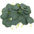 YHXiXi 100PCS Eucalyptus Leaves Artificial Eucalyptus Petals Fake Leaves Bulk Eucalyptus Leaves Artificial Greenery Fake Green Leaves for DIY Wreath Wedding Party Garden Cake Table Decoration