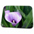 3dRose Purple Garden Cala Lilies - Bathroom Bath Rug Mats (rug-52642-1)