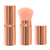 QiBusLeen Retractable Kabuki Foundation Makeup Brush Travel Blush Brush Flat Top Kabuki Face Blush Liquid Powder Foundation Brush for Blush, Buffing, Highlight, Contour, Flawless Powder Cosmetics (Champagne)