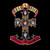 Appetite For Destruction