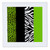 3dRose qs_35440_1 Lime Green Black and White Animal Print-Leopard and Zebra-Quilt Square, 10 by 10-Inch