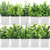 LELEE 10 pcs Artificial Plants Mini Fake Potted Plants, Small Eucalyptus Potted Faux Decorative Grass Plant with Black Pot for Home Decor, Indoor, Office, Desk, Table Decoration