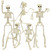 5 Packs Halloween Skeleton Decorations, 16" Halloween Full Body Mini Skeleton with Movable Posable Joints, Spooky Plastic Skeleton for Yard Garden Lawn Haunted House Graveyard Props Decor