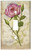 Art Plates - Old Rose Switch Plate - Single Toggle