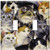 Art Plates - Just Cats! Switch Plate - Double Toggle