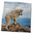 3dRose USA, Colorado, Mt. Evans. Mountain Goat Stands Against Sky. - Towels (twl-190869-3)