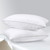 HOMELAB 2 Pack Standard Pillows for Sleeping - 100% Breathable Cotton Cover, Soft Down Alternative, Medium Support for Side, Back, and Stomach Sleepers, Hotel Collection Bed Pillow Inserts, 20x26
