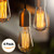 Edison Light Bulbs by Scandic Gear - 4 Pack - 60 Watts - Vintage Light Bulbs Add Antique Touch to Décor - Retro Light Bulbs for Vintage Lamps and Fixtures - Clear Glass Edison Light Bulb