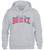 NYC New York City NY Bronx Sweatshirt Hoodie Hoody (Light Gray, Large)