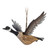 Abbott Collection 27-WINTER-0058 Flying Canada Goose Ornament, Brown