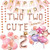 Two Two Cute Birthday Decorations, Tutu Cute 2nd Birthday Decorations, Ballerina Themed Ballet Theme Birthday Party Decorations Supplies, Second 2nd 2 Year Old Party Birthday Decorations Girl, Two-Tu Ballerina Tutus Dancing Balloons Favors Daughter