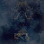 Severed WIthin [Random Mixed Color LP]