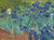 Adult Jigsaw Puzzle 500 Pieces of Iris for Intellectual Development of Children