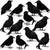 Meooeck Black Fake Crows Halloween Feathered Crows Decor Realistic Raven Birds Decorations Spooky Black Feathered Crows Halloween Prop Decor for Outdoor Home Garden Holiday Party