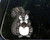 Removable Sticker Water Bottle Window Vinyl Sticker Squirrel Patterned Design Squirrel Vinyl Car Decal Car Bumper Laptops Decal