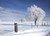 LYWYGG 7x5ft Winter Backdrop Snow Photo Background White Frozen Snow Tree Photography Backdrops for Christmas, Children and Party CP-105