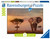 Ravensburger Puzzle, Puzzle 1000 Pieces, Elephant of The Masai Mara, Nature Edition, Puzzles for Adults, Puzzle Animals, Jigsaw Puzzle Ravensburger