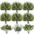 Craftsatin 100 Pcs 3 Mixed Artificial Greenery Stems Bulk Artificial Eucalyptus Leaves with Seeds Artificial Silver Dollar Eucalyptus Stems Fake Faux Apple Leaves Stems with Seeds for Wedding Decor