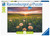 RAVENSBURGER Puzzle 16990 Dandelions at Sunset-Nature Edition 500 Pieces