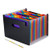 File Organizer Folder Large Document Expanding Accordion File System Works on A4 Size and Letter Size Folder 24 Pockets A4 File