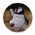 Creature Antarctic Cute Penguin Science Nature Plate Decorative Porcelain Salver Tableware Dinner Dish