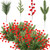 200 Pieces Artificial Pine Needles Branches and Artificial Red Berry Stems Fake Greenery Pine Picks Christmas Red Berry Picks Holly Berries Branches Christmas Fake Tree Branches for DIY Garland Wreath