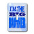 3dRose lsp_13829_1 Im The Big Brother Blue Single Toggle Switch