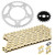 Caltric Drive Chain and Sprocket Kit Compatible with Suzuki GSX-R1300R Hayabusa 2008 2009 2010-2016