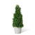 Park Hill Collection Garden Floral Mountain Savory Cone Topiary, Medium