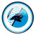 Duck House Sports NFL Carolina Panthers Melamine Dinner Plate