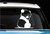 Timid Baby Panda - Vinyl 3" tall (Color: WHITE) decal laptop tablet skateboard car windows stickers - by So Cool Stuff
