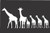 Giraffe Family- Die Cut Vinyl Window Decal/sticker for Car or Truck 3.5"x8"