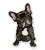 Cute French Bulldog - 3" Vinyl Sticker - for Car Laptop Water Bottle Phone - Waterproof Decal