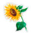Sunflower Watercolor Flower - 3" Vinyl Sticker - for Car Laptop Water Bottle Phone - Waterproof Decal