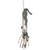 Ashland Skeleton Hand & Arm Decoration, Halloween Decorations