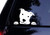 Pitbull Decal - Peeking Peek a Boo Pit Face - Pit Bull Dog Car Decal, Laptop Decal, Car Window Sticker (6", White)