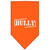 Mirage Pet Products Bully Screen Print Bandana for Pets, Small, Orange