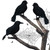 3PCS Halloween Black Crows Feathered Halloween Decorations Realistic Looking Ravens Large Handmade Black Crow for Halloween Decoration Supplies